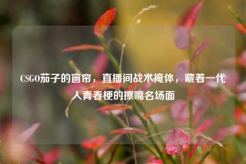 CSGO茄子的窗帘,直播间战术掩体,藏着一代人青春梗的擦嘴名场面