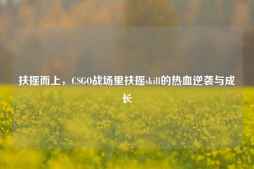 扶摇而上,CSGO战场里扶摇skill的热血逆袭与成长
