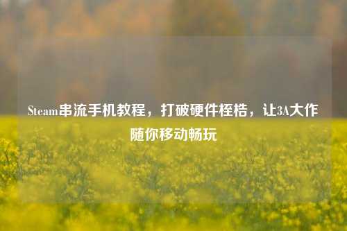 Steam串流手机教程,打破硬件桎梏,让3A大作随你移动畅玩