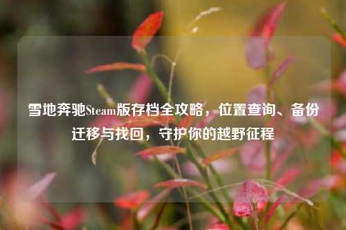 雪地奔驰Steam版存档全攻略,位置查询、备份迁移与找回,守护你的越野征程