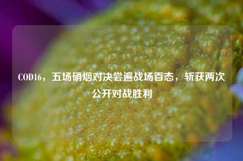 COD16,五场硝烟对决尝遍战场百态,斩获两次公开对战胜利