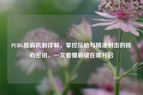 PUBG抵肩机制详解,掌控压枪与精准射击的核心密钥,一文看懂肩键在哪开启