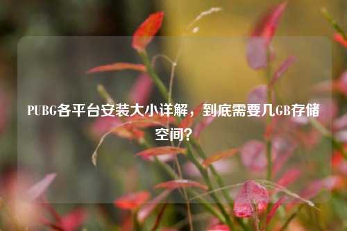 PUBG各平台安装大小详解,到底需要几GB存储空间?