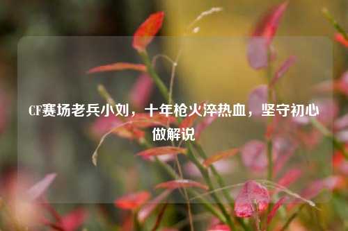 CF赛场老兵小刘,十年枪火淬热血,坚守初心做解说