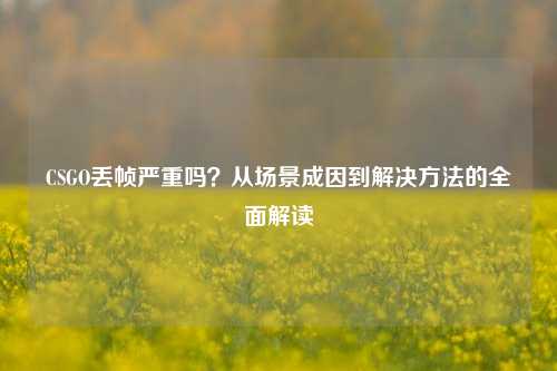 CSGO丢帧严重吗？从场景成因到解决方法的全面解读