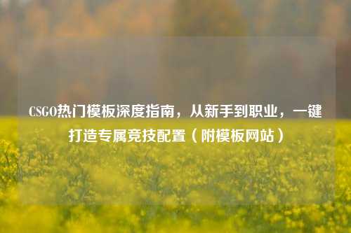 CSGO热门模板深度指南,从新手到职业,一键打造专属竞技配置(附模板网站)