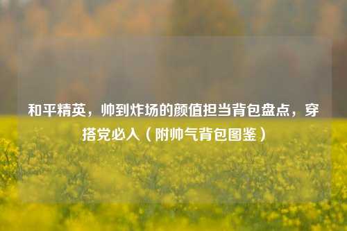 和平精英,帅到炸场的颜值担当背包盘点,穿搭党必入(附帅气背包图鉴)