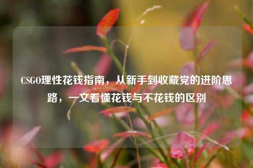 CSGO理性花钱指南，从新手到收藏党的进阶思路，一文看懂花钱与不花钱的区别