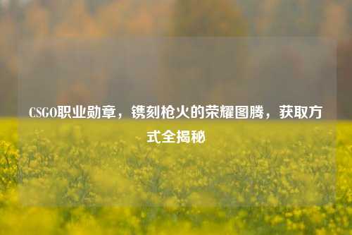 CSGO职业勋章，镌刻枪火的荣耀图腾，获取方式全揭秘