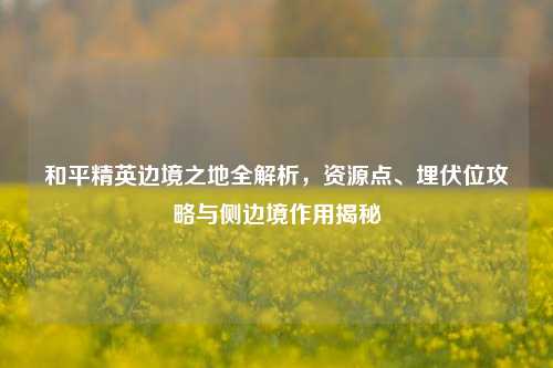 和平精英边境之地全解析,资源点、埋伏位攻略与侧边境作用揭秘