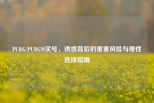 PUBG/PUBGM买号，诱惑背后的重重风险与理性选择指南