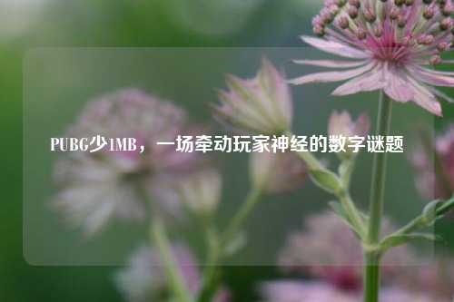 PUBG少1MB,一场牵动玩家神经的数字谜题