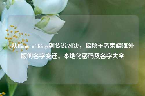 从Honor of Kings到传说对决,揭秘王者荣耀海外版的名字变迁、本地化密码及名字大全