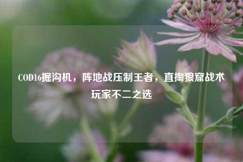 COD16掘沟机,阵地战压制王者,直掏狼窟战术玩家不二之选