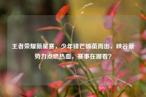 王者荣耀新星赛,少年锋芒破茧而出,峡谷新势力点燃热血,赛事在哪看?
