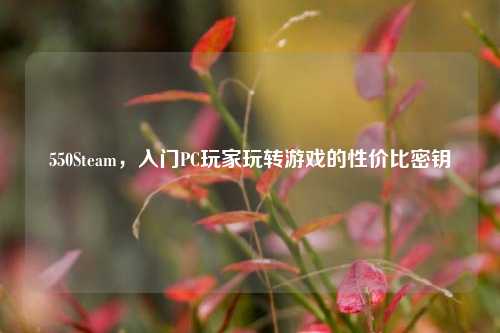 550Steam,入门PC玩家玩转游戏的性价比密钥