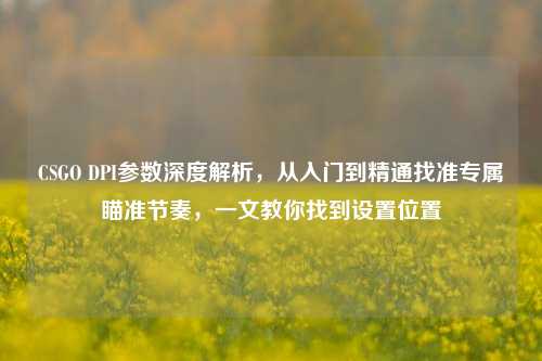 CSGO DPI参数深度解析,从入门到精通找准专属瞄准节奏,一文教你找到设置位置
