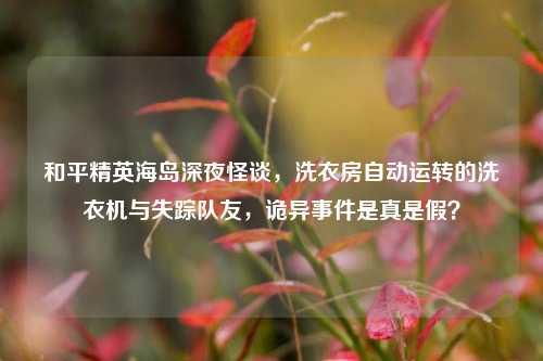 和平精英海岛深夜怪谈,洗衣房自动运转的洗衣机与失踪队友,诡异事件是真是假?
