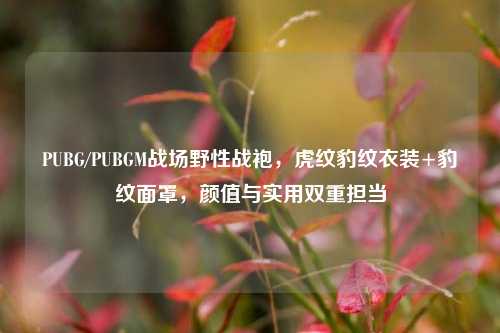 PUBG/PUBGM战场野性战袍,虎纹豹纹衣装+豹纹面罩,颜值与实用双重担当
