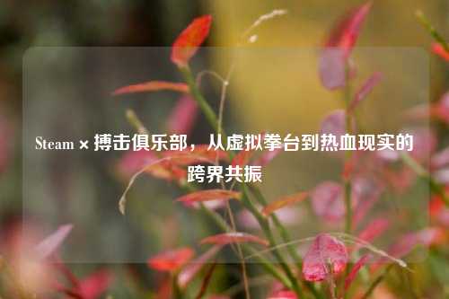 Steam×搏击俱乐部,从虚拟拳台到热血现实的跨界共振