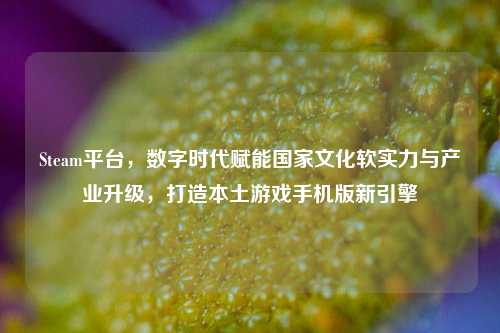 Steam平台,数字时代赋能国家文化软实力与产业升级,打造本土游戏手机版新引擎