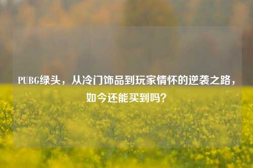 PUBG绿头，从冷门饰品到玩家情怀的逆袭之路，如今还能买到吗？