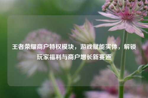 王者荣耀商户特权模块,游戏赋能实体,解锁玩家福利与商户增长新赛道