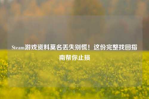 Steam游戏资料莫名丢失别慌！这份完整找回指南帮你止损
