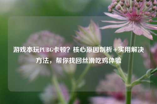 游戏本玩PUBG卡顿?核心原因剖析+实用解决方法,帮你找回丝滑吃鸡体验