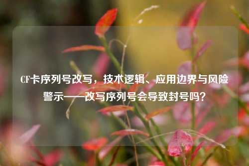 CF卡序列号改写,技术逻辑、应用边界与风险警示——改写序列号会导致封号吗?