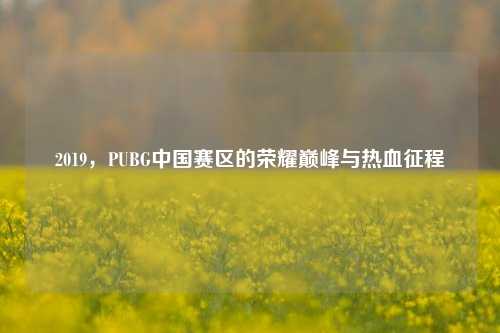 2019,PUBG中国赛区的荣耀巅峰与热血征程