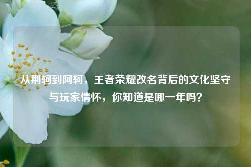 从荆轲到阿轲,王者荣耀改名背后的文化坚守与玩家情怀,你知道是哪一年吗?