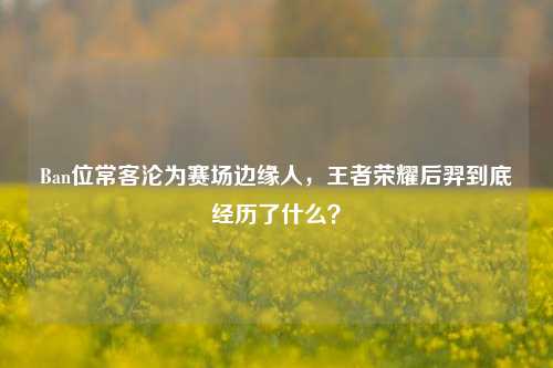 Ban位常客沦为赛场边缘人,王者荣耀后羿到底经历了什么?