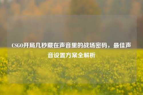 CSGO开局几秒藏在声音里的战场密码,最佳声音设置方案全解析