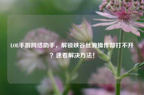LOL手游网络助手,解锁峡谷丝滑操作却打不开?速看解决方法!