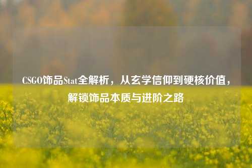 CSGO饰品Stat全解析,从玄学信仰到硬核价值,解锁饰品本质与进阶之路