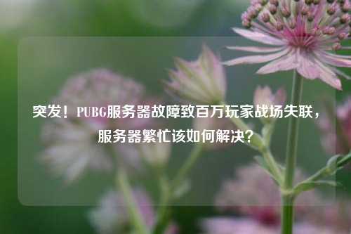 突发!PUBG服务器故障致百万玩家战场失联,服务器繁忙该如何解决?