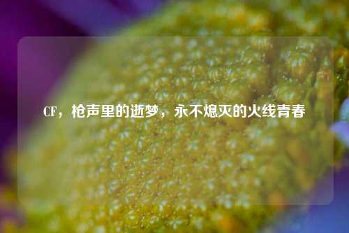 CF,枪声里的逝梦,永不熄灭的火线青春