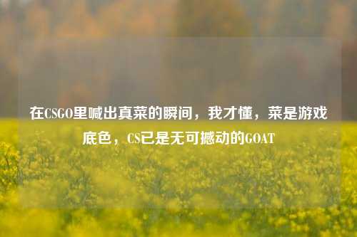 在CSGO里喊出真菜的瞬间,我才懂,菜是游戏底色,CS已是无可撼动的GOAT