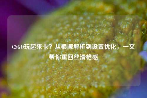 CSGO玩起来卡?从根源解析到设置优化,一文帮你重回丝滑枪感