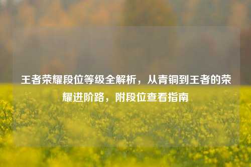 王者荣耀段位等级全解析,从青铜到王者的荣耀进阶路,附段位查看指南