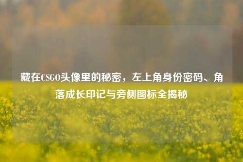 藏在CSGO头像里的秘密,左上角身份密码、角落成长印记与旁侧图标全揭秘