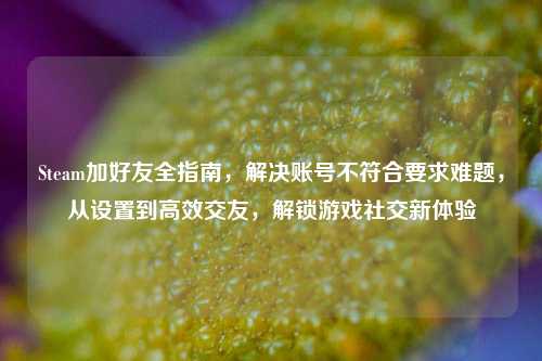 Steam加好友全指南,解决账号不符合要求难题,从设置到高效交友,解锁游戏社交新体验