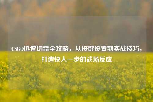CSGO迅速切雷全攻略,从按键设置到实战技巧,打造快人一步的战场反应
