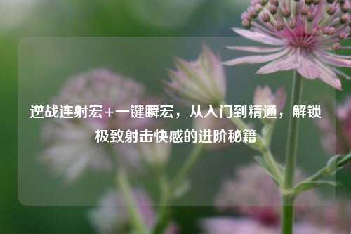 逆战连射宏+一键瞬宏,从入门到精通,解锁极致射击快感的进阶秘籍
