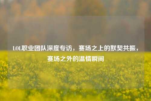 LOL职业团队深度专访,赛场之上的默契共振,赛场之外的温情瞬间