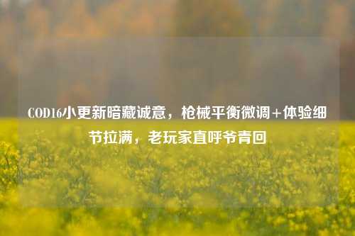 COD16小更新暗藏诚意，枪械平衡微调+体验细节拉满，老玩家直呼爷青回