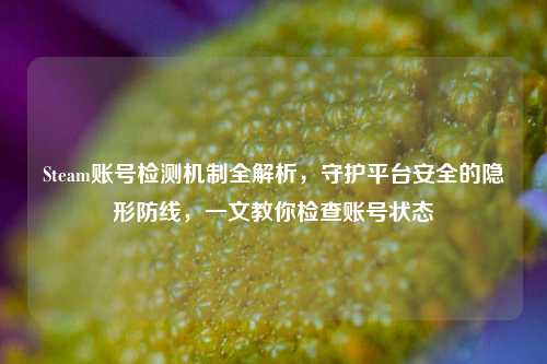 Steam账号检测机制全解析，守护平台安全的隐形防线，一文教你检查账号状态