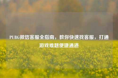 PUBG微信客服全指南,教你快速找客服,打通游戏难题便捷通道
