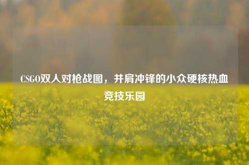 CSGO双人对枪战图,并肩冲锋的小众硬核热血竞技乐园